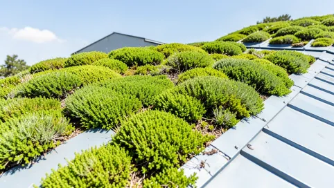 Co na dach zamiast blachy