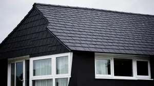 czarny dach jakie okna