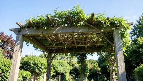 czy na pergole trzeba miec pozwolenie