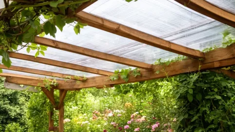 Dach do pergoli