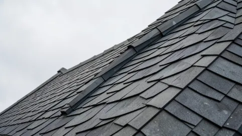 Dach stromy definicja