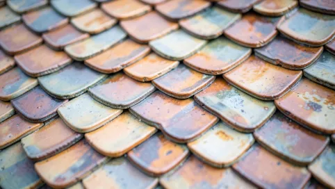 Dachówka karpiówka w łuskę