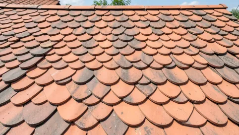 Dachówka karpiówka w łuskę ile na m2