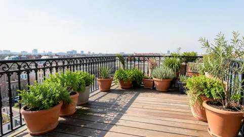 Do kogo należy taras