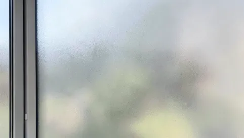 Folia na okna zamiast rolet