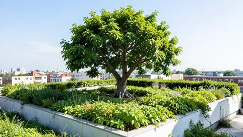 Ile kosztuje drzewo na dach 200m2