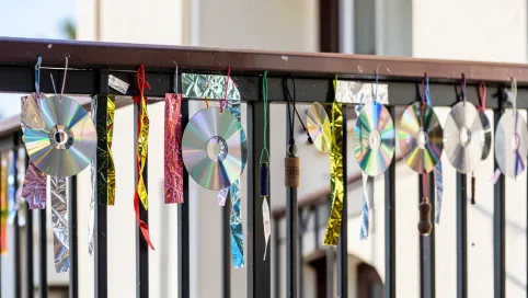 Jak odstraszyć wrony z balkonu