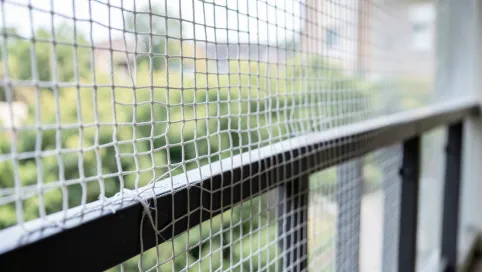 Jaka najlepsza siatka na balkon dla kota