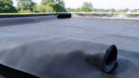 Jaka papa na dach płaski