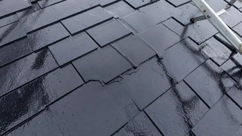 Malowanie dachu cena