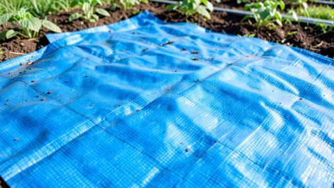 Membrana dachowa zamiast agrowłókniny