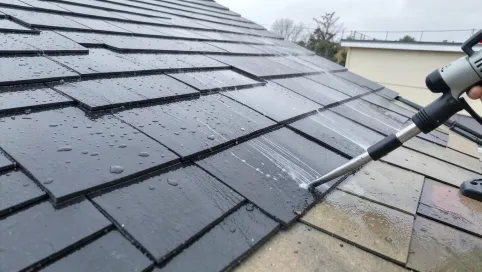Mycie dachów cena