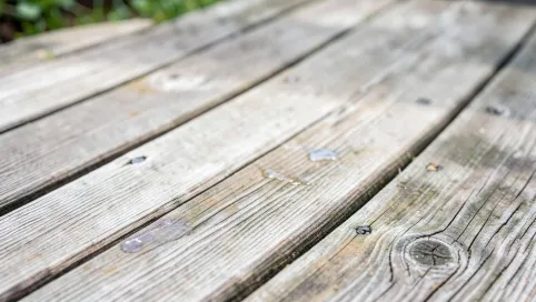 Olej do tarasów Bezbarwny