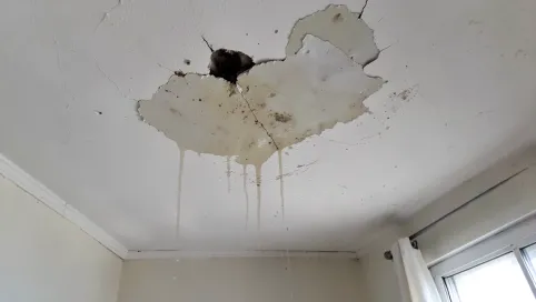 Pismo do spółdzielni mieszkaniowej w sprawie zalania z dachu