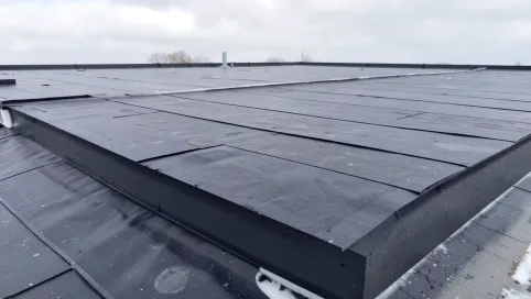 Styropian z papą na dach