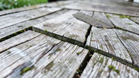Jaką farba pomalować taras