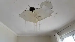 Pismo do spółdzielni mieszkaniowej w sprawie zalania z dachu